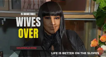 Basketball Wives: Is the Show Over for Good?