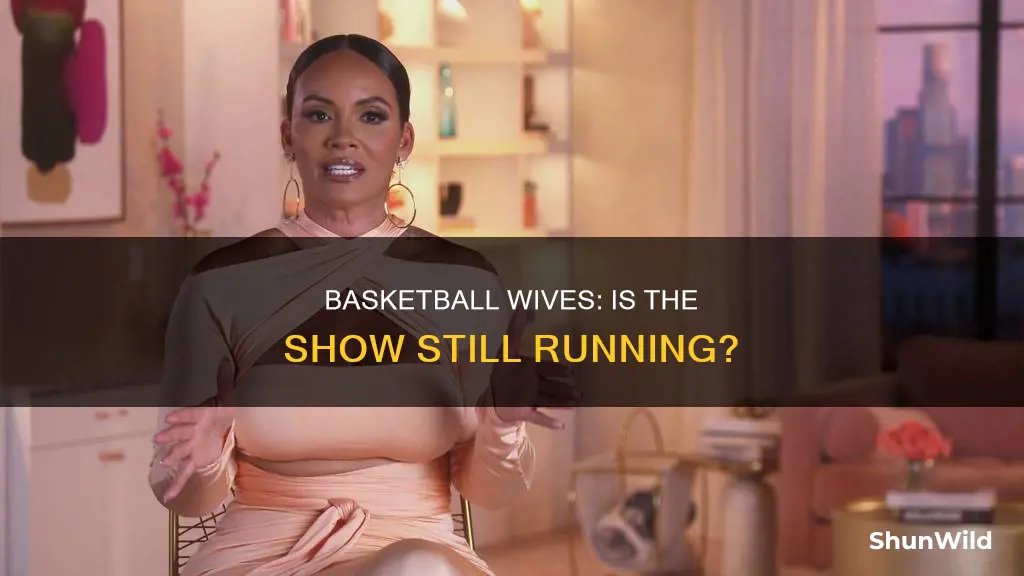 is basketball wives still on