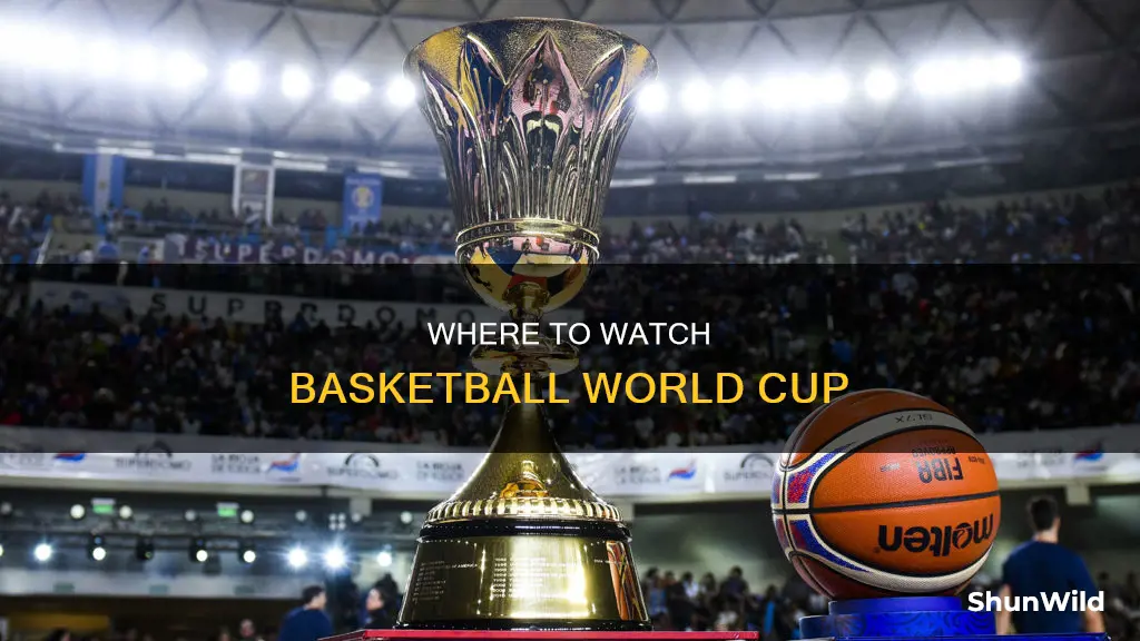is basketball world cup on tv