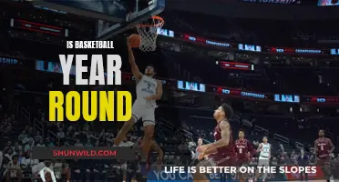 Basketball's Year-Round Grind: Is It Too Much?
