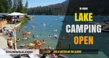 Is Bass Lake Camping Open? Current Status and Updates for Campers