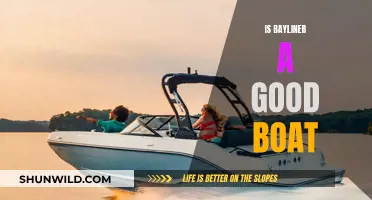 Bayliner Boats: Are They Worth the Money?