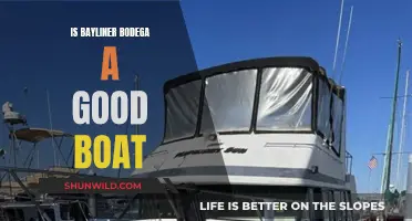 Bayliner Bodega: A Worthy Boat?