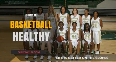 Baylor Basketball: Healthy or Not?