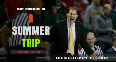 Baylor Basketball: Summer Trip Preview