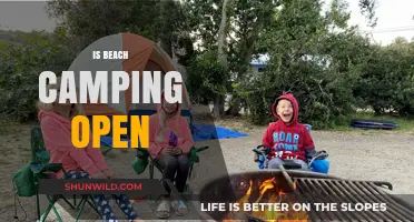 Is Beach Camping Open? Check Availability and Plan Your Coastal Adventure