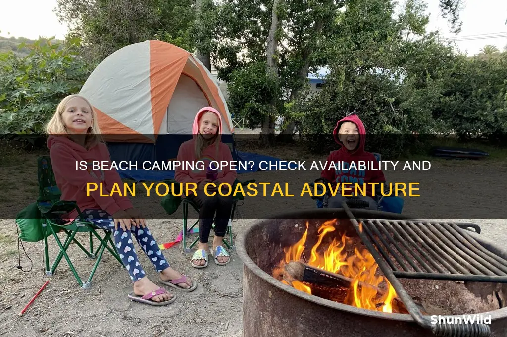 is beach camping open