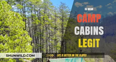 Is Bear Camp Cabins Legit? Uncovering the Truth Behind the Reviews