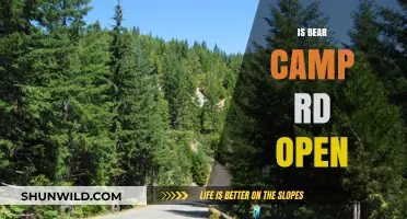 Is Bear Camp Rd Open? Current Status and Travel Updates
