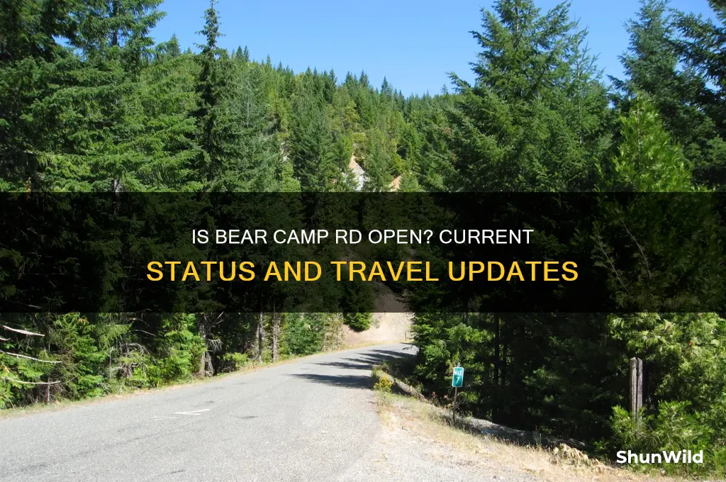is bear camp rd open
