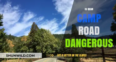 Is Bear Camp Road Dangerous? Exploring the Risks and Safety Tips