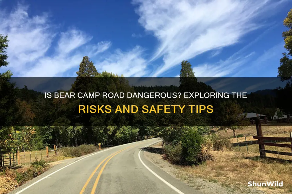 is bear camp road dangerous