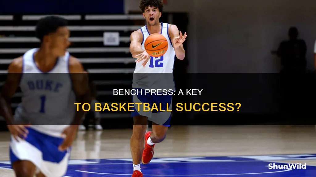 is bench press important for basketball