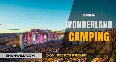 Beyond Wonderland Camping: Ultimate Festival Experience or Myth?