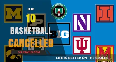 Big Ten Basketball: Cancelled or Postponed?