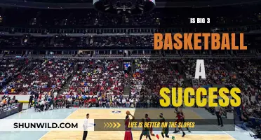 Big 3 Basketball: Success or Failure?