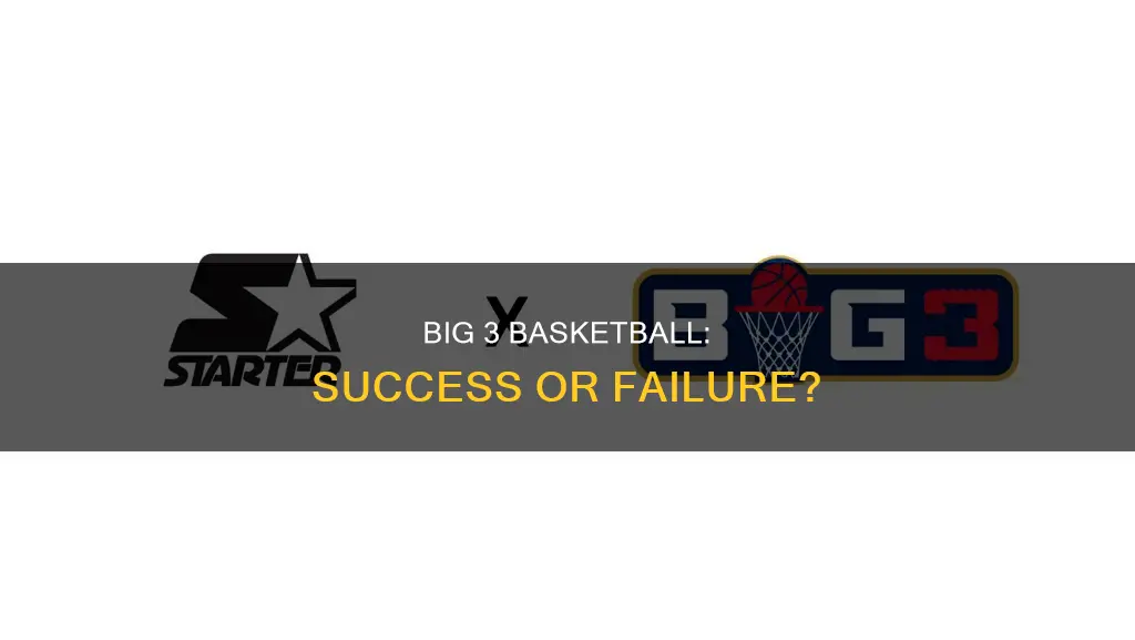 is big 3 basketball a success