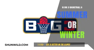 Hoop Dreams: Big 3 Basketball's Place in the Sun