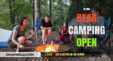 Is Big Bear Camping Open? Current Status and Updates for Campers