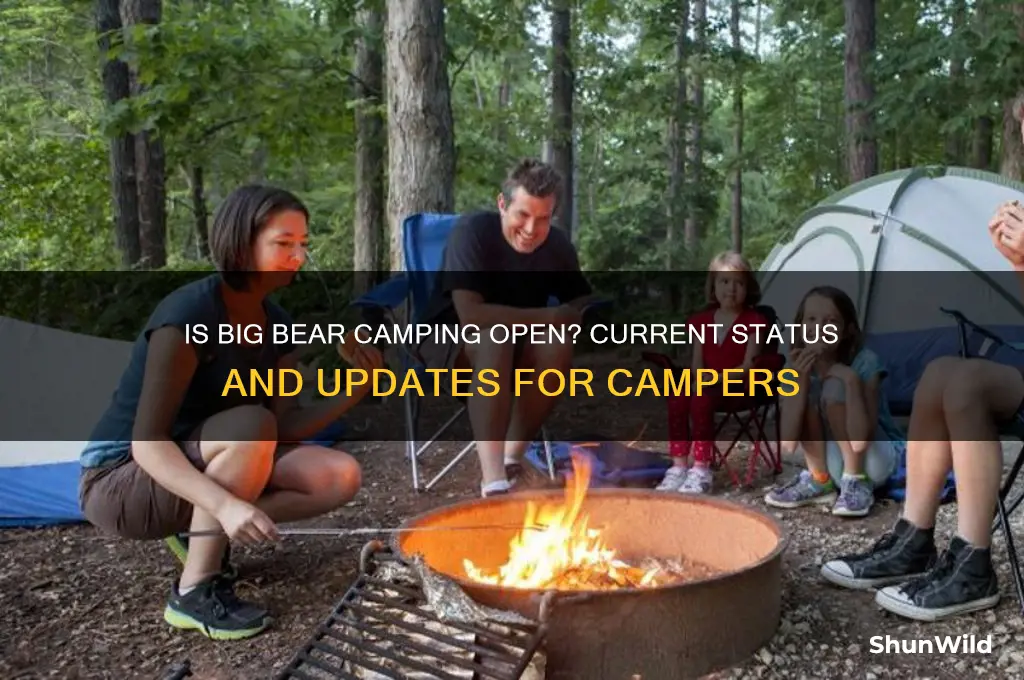 is big bear camping open