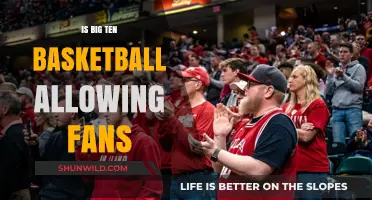 Big Ten Basketball: Fans Returning to Stadiums
