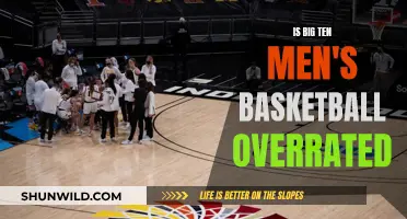 Big Ten Men's Basketball: Overhyped or Underrated?