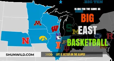 Big Ten, Big East Basketball: What's the Difference?