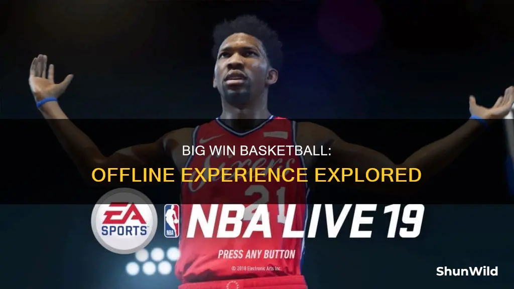 is big win basketball offline