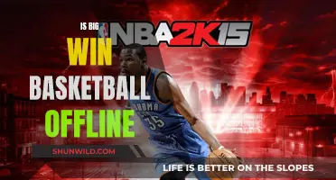 Big Win Basketball: Can You Play Without Internet?