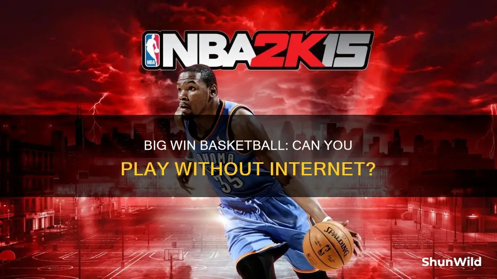 is big win basketball offline