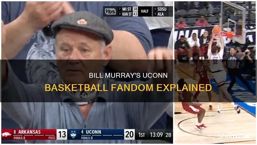 is bill murray a uconn basketball fan