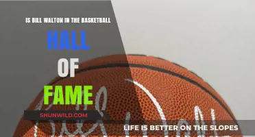 Bill Walton's Basketball Hall of Fame Legacy