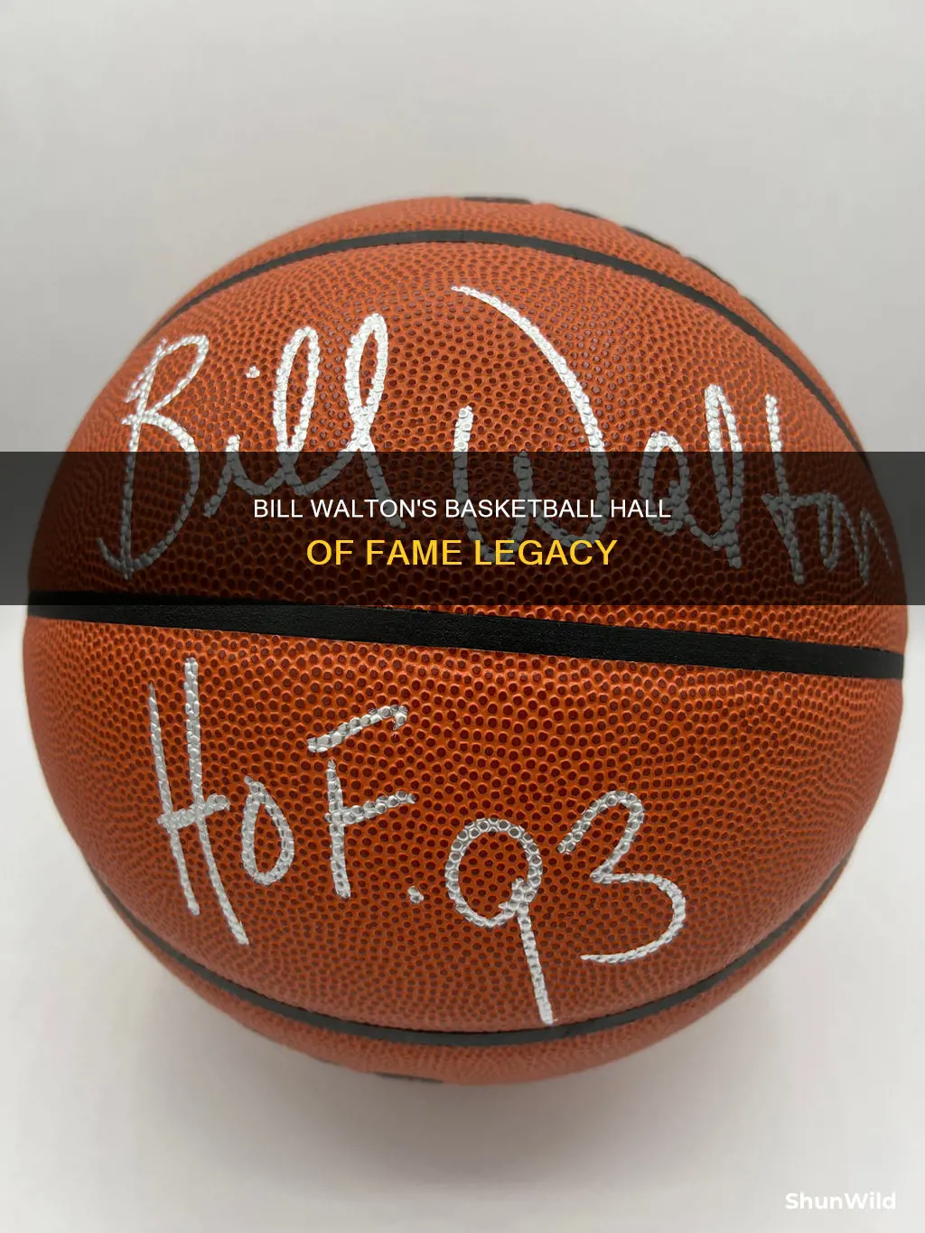 is bill walton in the basketball hall of fame