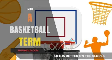 Basketball Lingo: What Does "Bin" Mean?