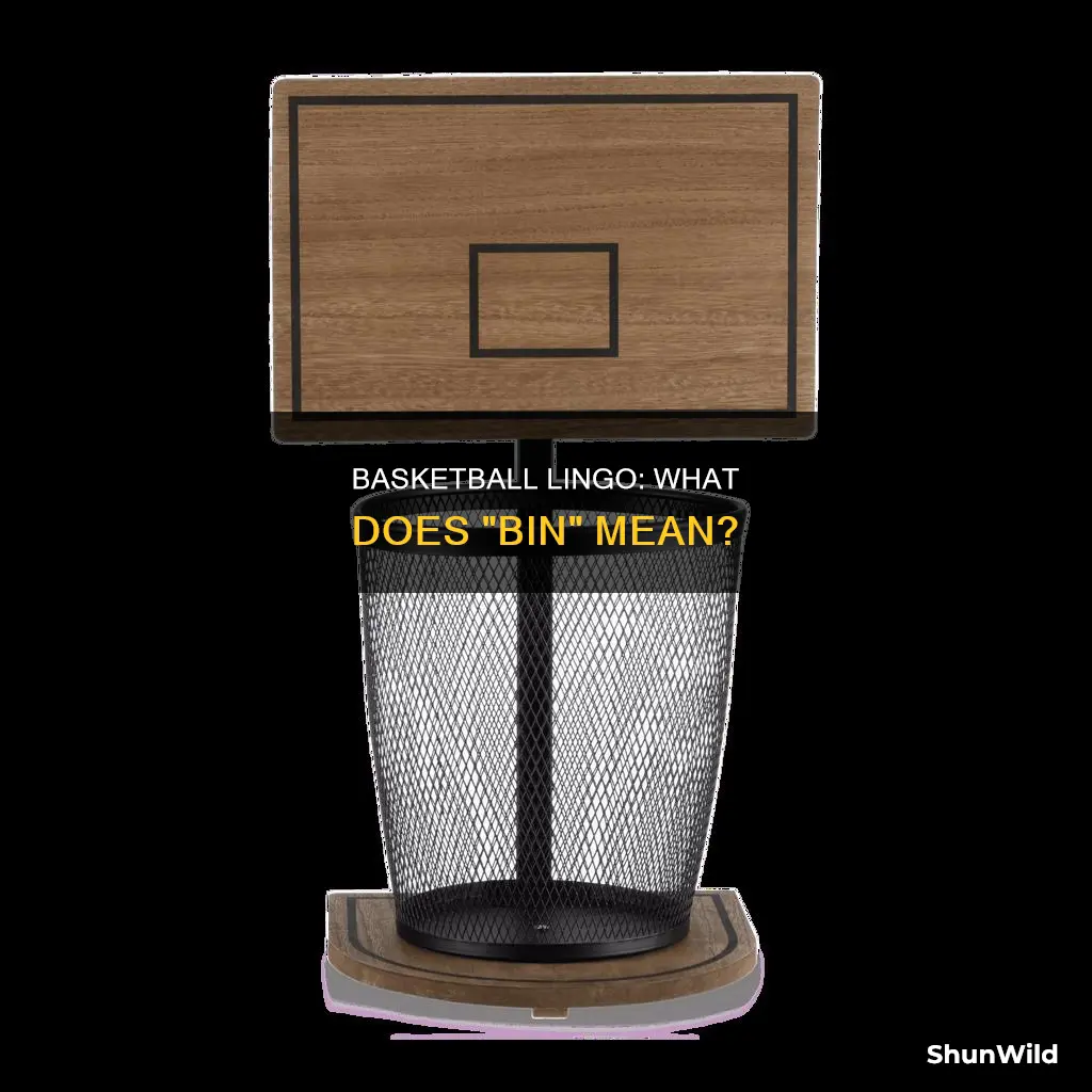 is bin a basketball term