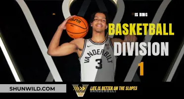 Bing Basketball: Is It a Division 1 Sport?