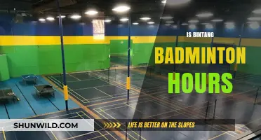Best Hours to Play Badminton at Bintang