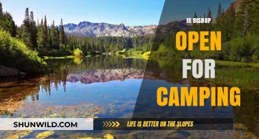 Is Bishop Open for Camping? A Guide to Current Availability