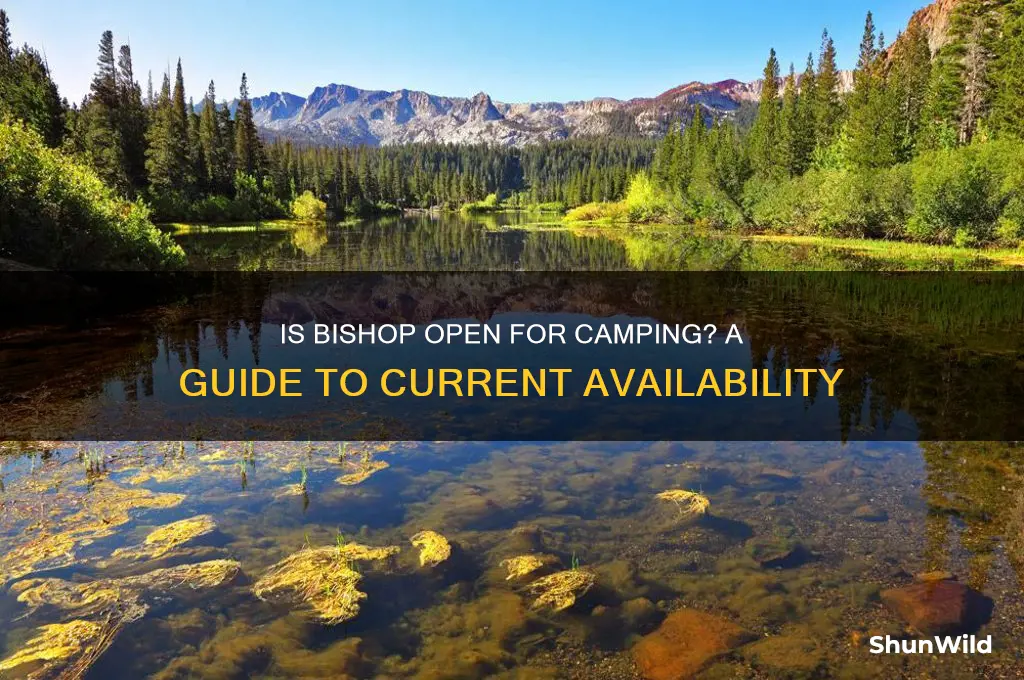 is bishop open for camping