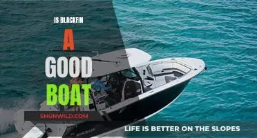 Blackfin Boats: Worth the Investment?