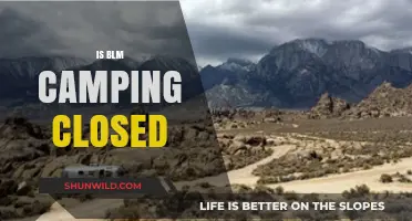 Is BLM Camping Closed? Updates and Alternatives for Outdoor Enthusiasts