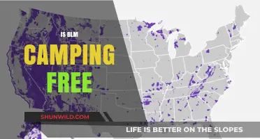 Is BLM Camping Free? Exploring Costs and Benefits of Dispersed Camping