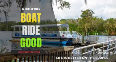 Boat Ride at Blue Springs: Worth the Trip?