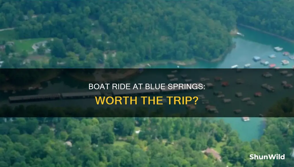 is blue springs boat ride good