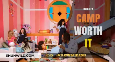 Is Bluey Camp Worth It? A Parent's Honest Review and Guide