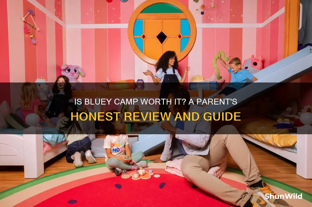 is bluey camp worth it