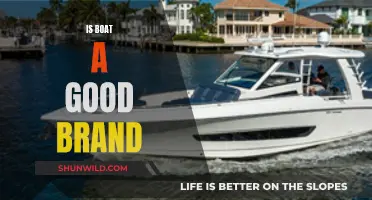 Boat Brand: Worth the Hype or Just Riding Waves?