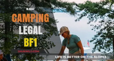 Is Boat Camping Legal in BF1? Exploring Battlefield 1 Rules