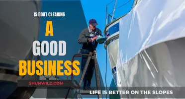 Boat Cleaning: A Lucrative Business Opportunity?