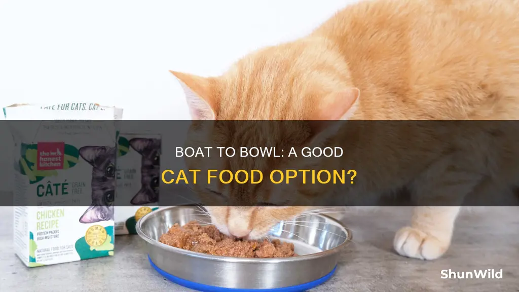 is boat to bowl good cat food